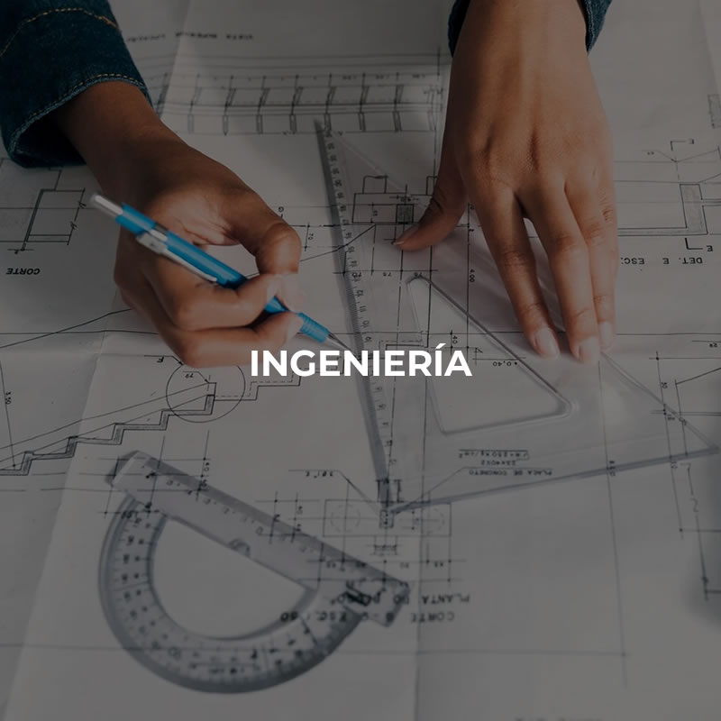 Ingenieria Ingenieria