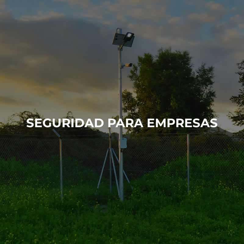 Seguridad para Empresas Seguridad para Empresas